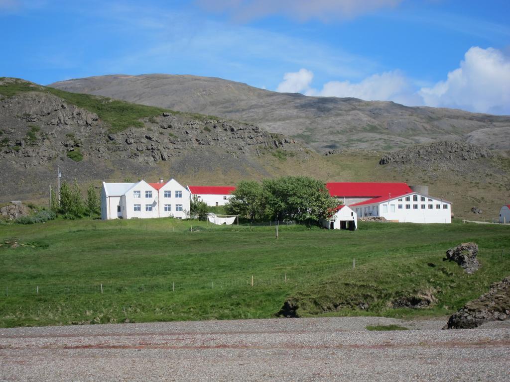 Brekka I Loni Farm Stay Stafafell Kültér fotó
